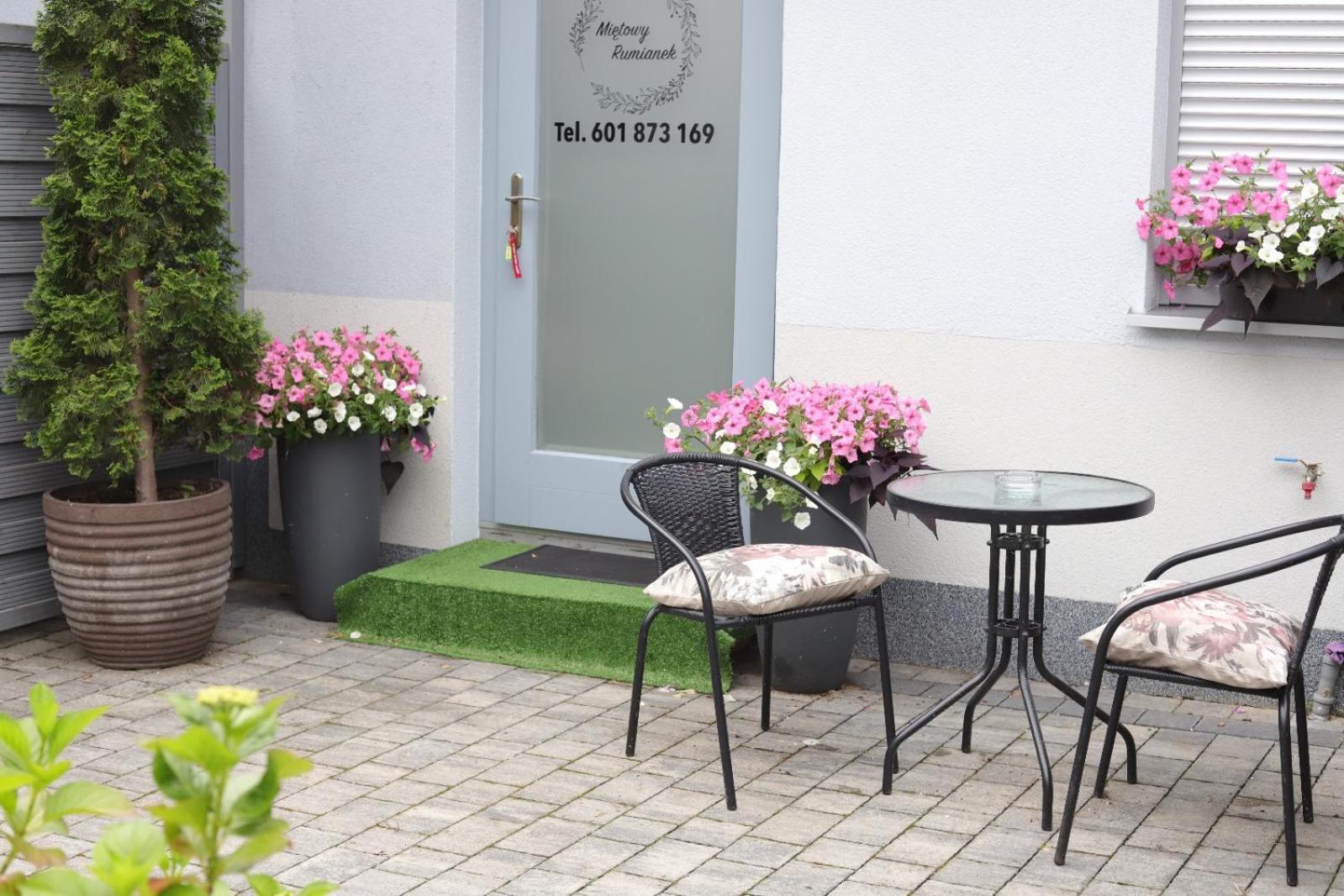 2 Apartament Mietowy Rumianek Lwowek エクステリア 写真